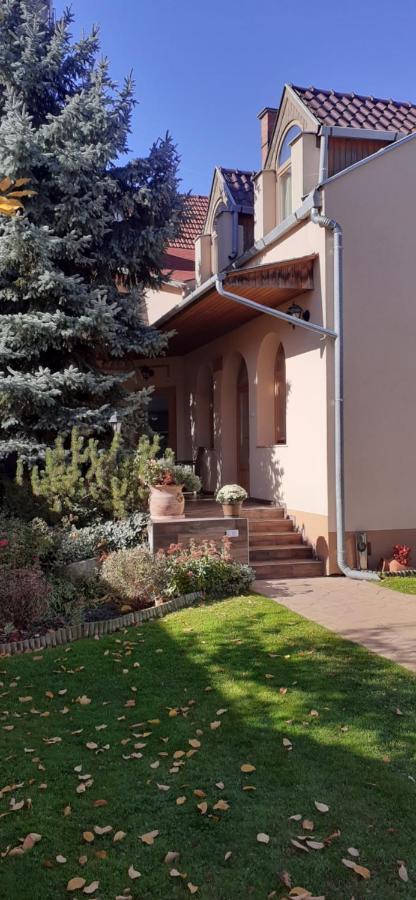 Hotel Kenguru Panzió Hódmezővásárhely Exterior foto